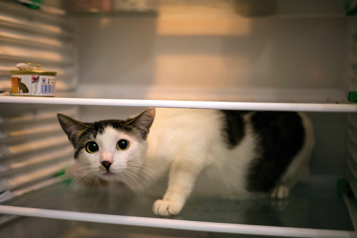 ����� �� ���� ���� ������ ���������� ����