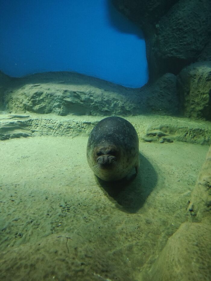 ���� ����� ������ (�� ����� �����, ����� �� ���)