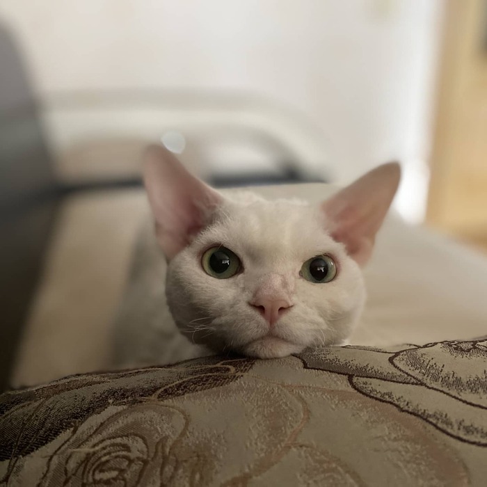 � ��� � ��� ������ ���������� ����