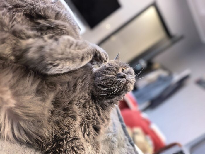 ������ ���� ����