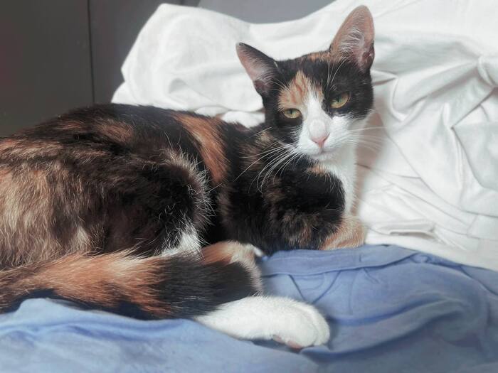 ��������2