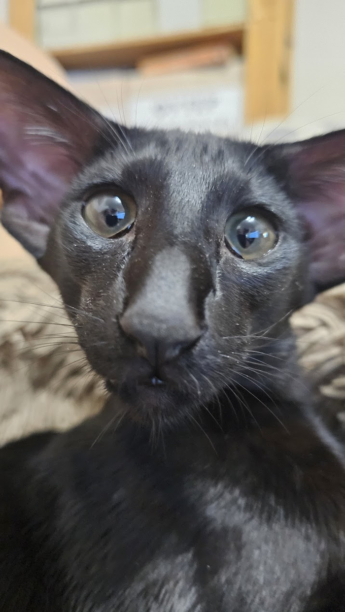 "� �, ��?! � - ����!"