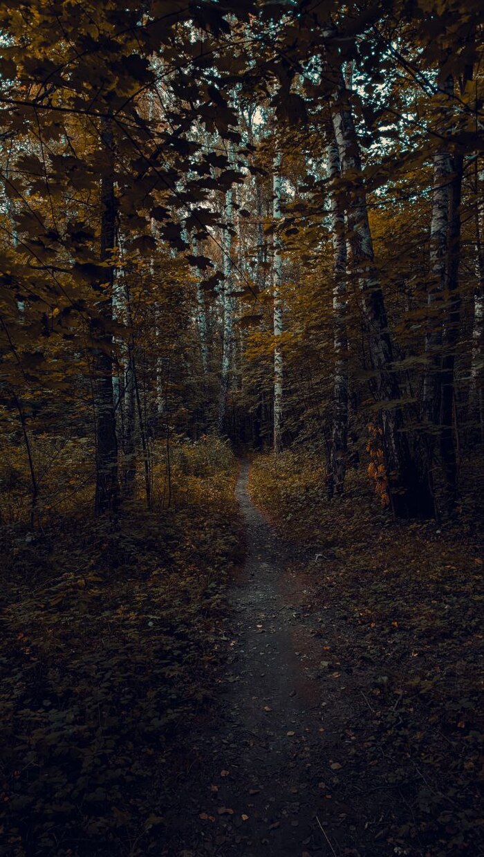 �������� � ����