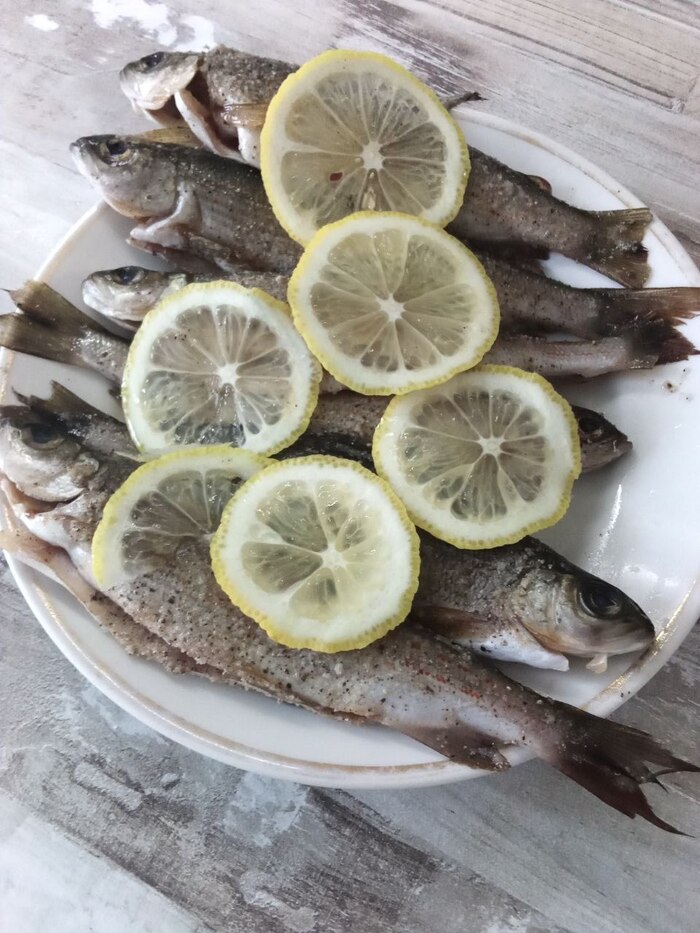 ������, ���������� � ���� � �����, ������ ���������� �������, ����� ��� �� ������������ ����� 15, �������� � ����������� � ��������� �� ���� �����