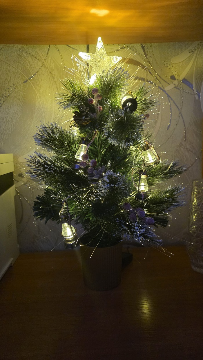 ����� ���������� ����