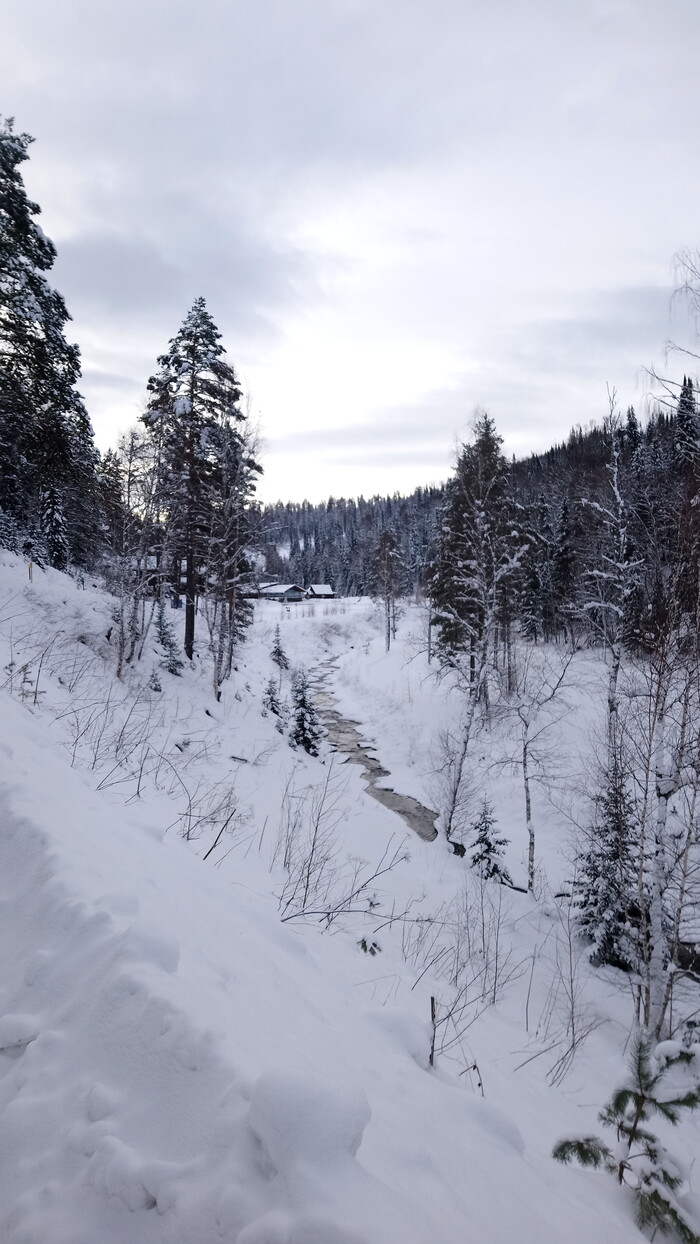 ��������� ����, ����������� ����������. 