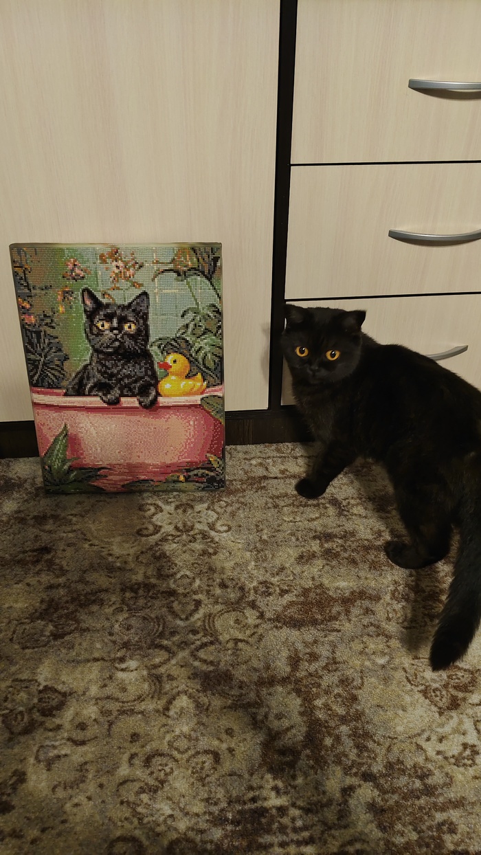 ��� ������ ���������� �����. �������� �������