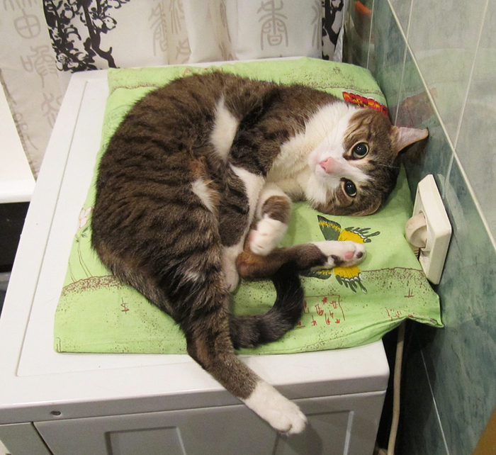 ��������� ��������� ���������: �������!