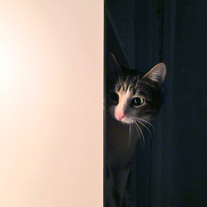 "����� ���� �������� ���� �������!"