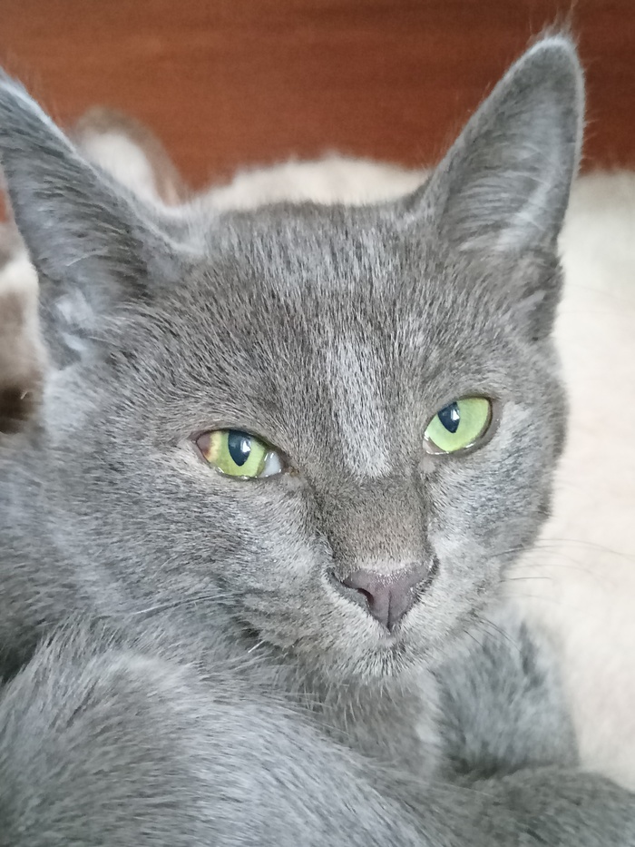 ������ ������ �����, ����� ��������