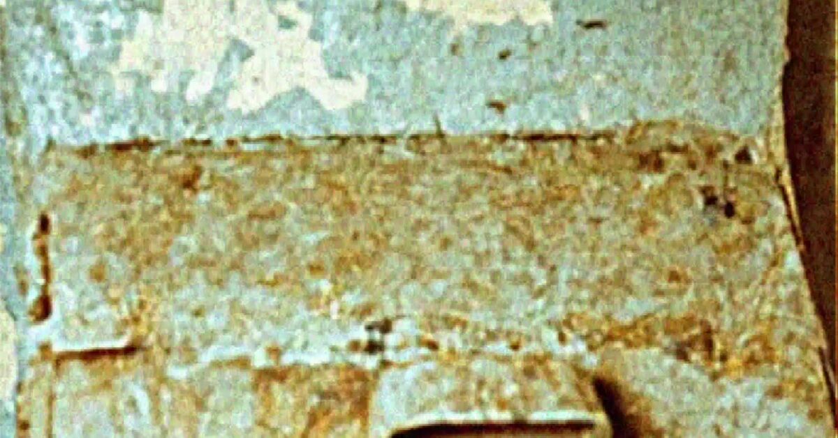 Internal security instructions - My, Neural Network Content, the USSR, Indie Horror, 90th, Horror, Vertical video, Contour, VHS, Video, Anomaly records from KONTUR