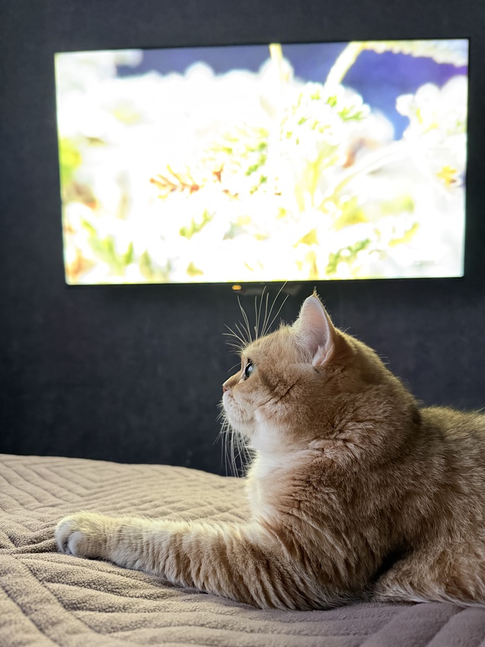 ��� ����� � ������