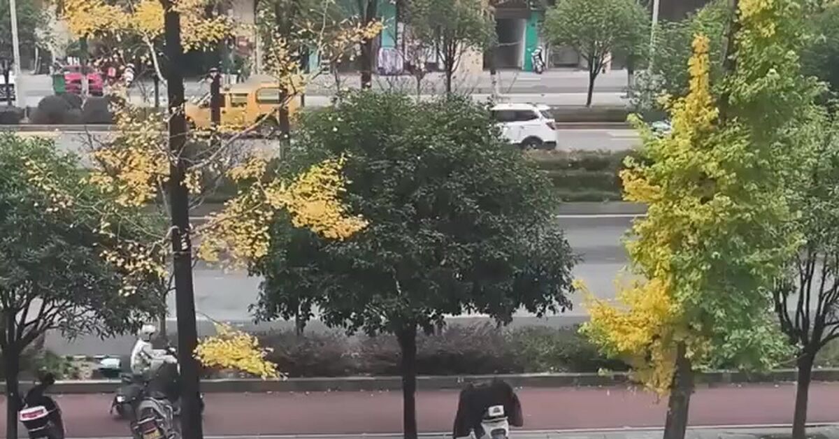 We're holding our place - Humor, Short videos, Video, Vertical video