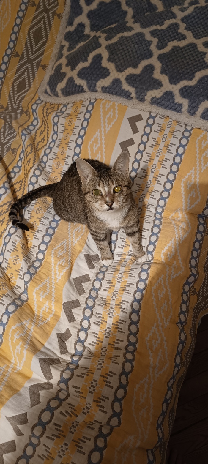 �������