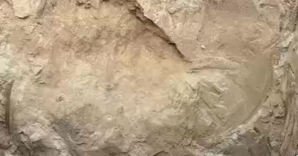 Construction of a cellar - Cellar, Telegram (link), Building, Video, Vertical video