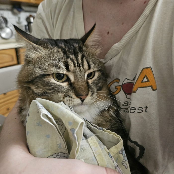 ��������� ������)