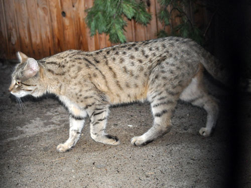 ������� ����� � ������������� ��������. ����� ������� ������������� ���������, ������ ����������. � ����� � ������������� �������� ���������� ����� �������� � ��������� ����� �� ������ � ������.