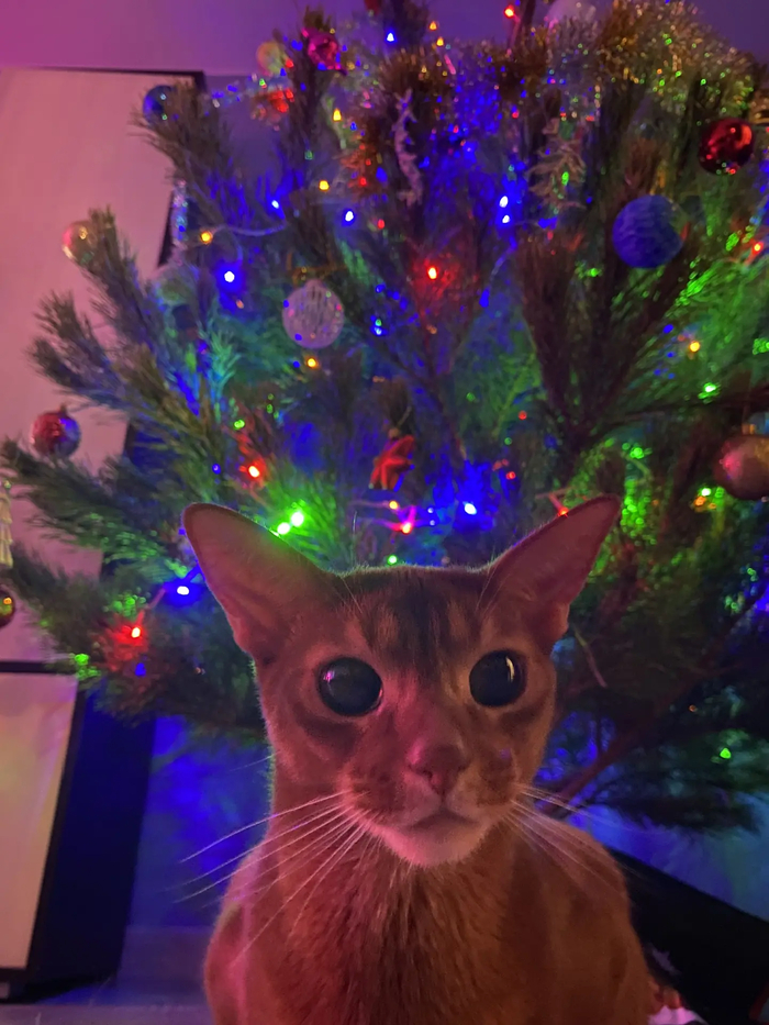 ������� �����, � ������� �� ������� ������� ��� ��������!