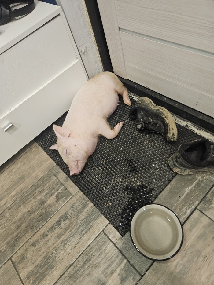 ��� ������ ���������� ���������