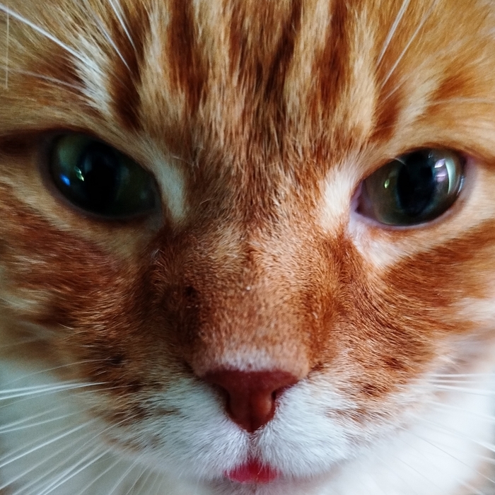 ����� �� ���� ������� ���� ����� ����