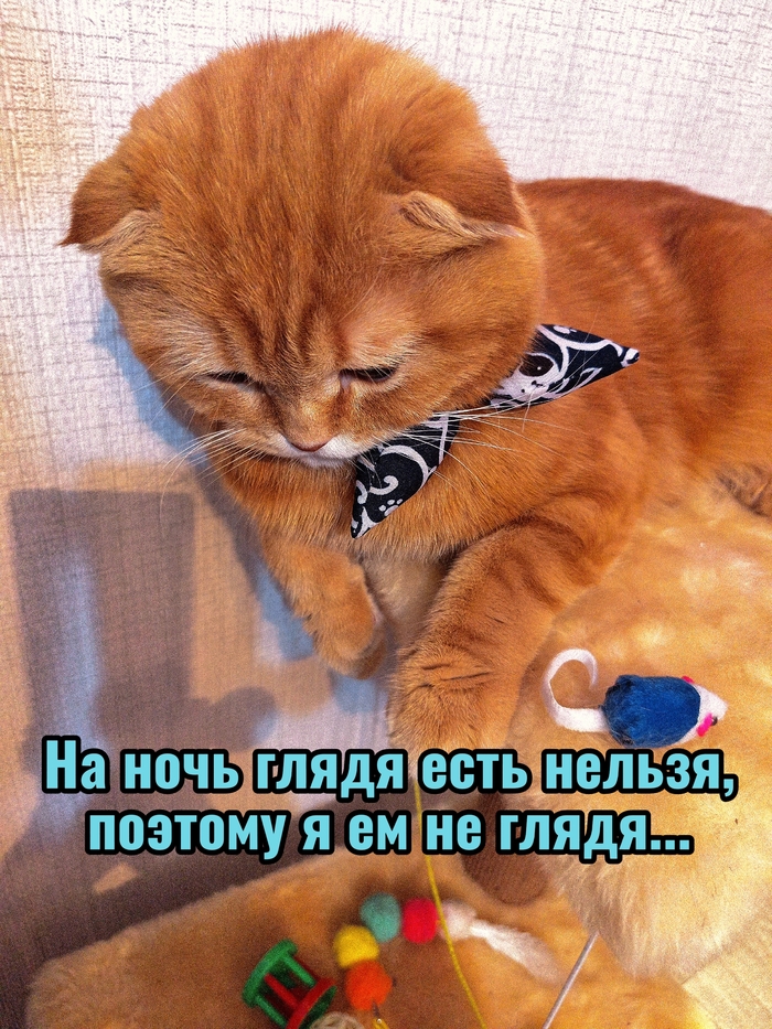 �� ������� ��������� �� �����������, ��� ��� ��� ����������� �����...