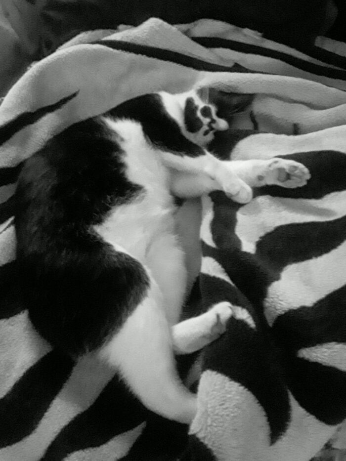 ������ ���� ����