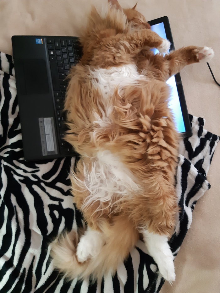 ����������!