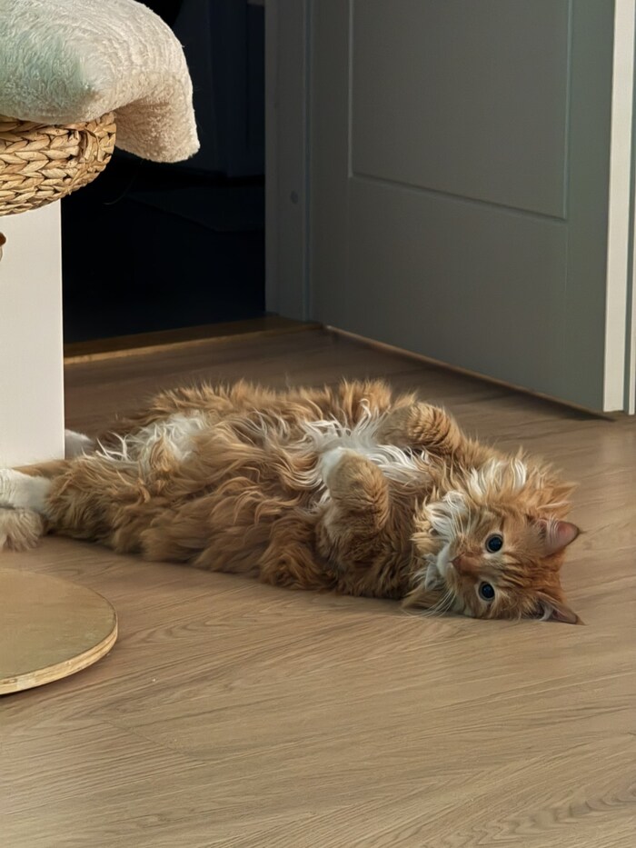 ������ ����� ���������!