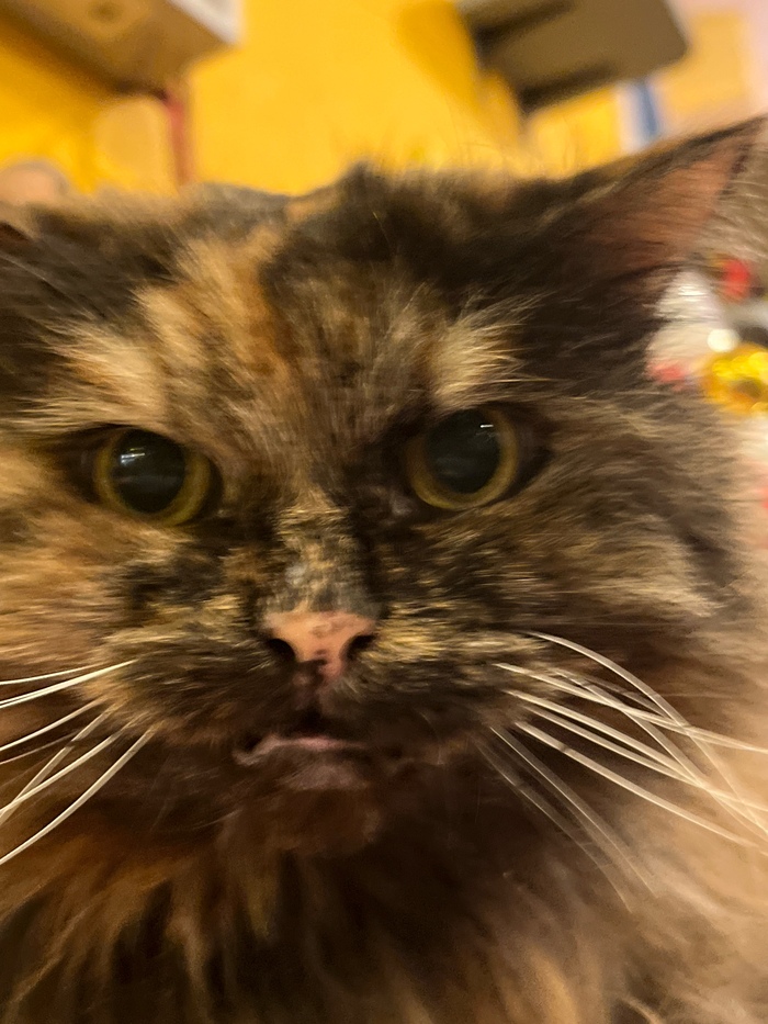 ����� �� ���� ������� ���� ����� ����