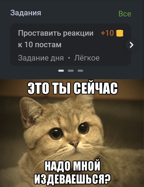 ������� ���� ��� ������ �����������?