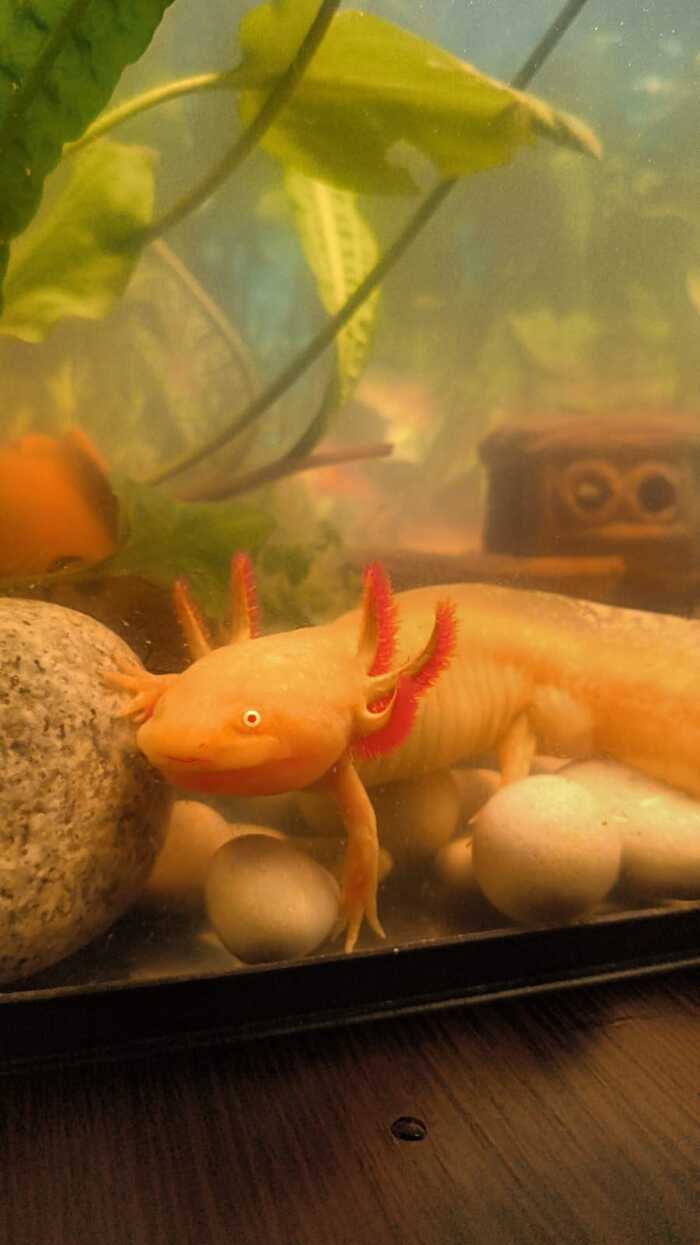 ��� ������ �����������������,��� ��� �� ���))?