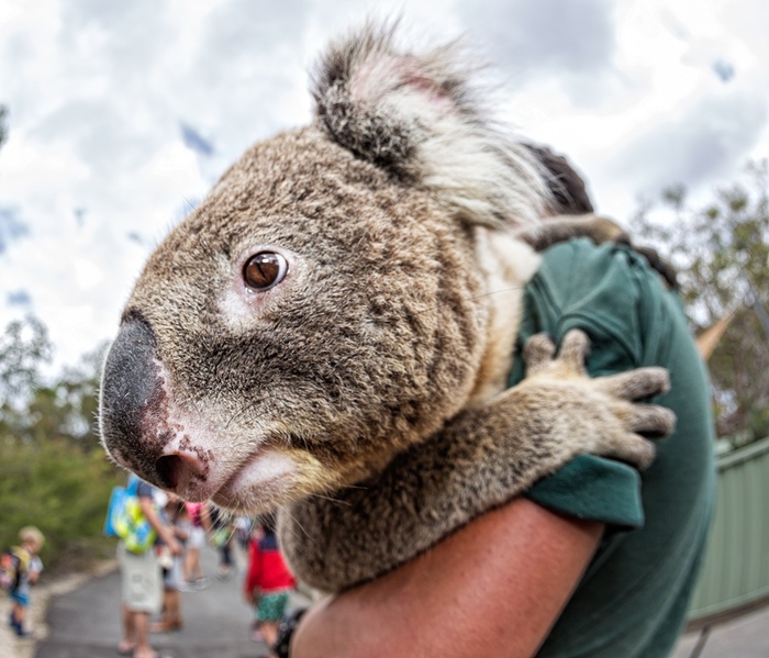 �������� ����? � ���� �����‽