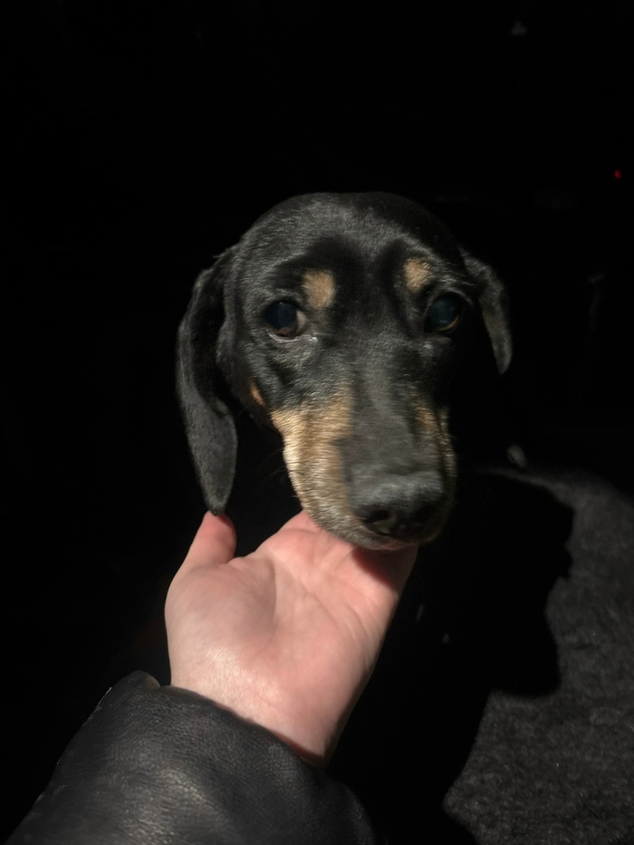 ������� �����. ��� �������?