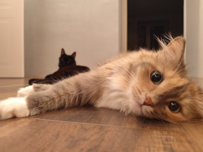 ������ ���� ���� �����