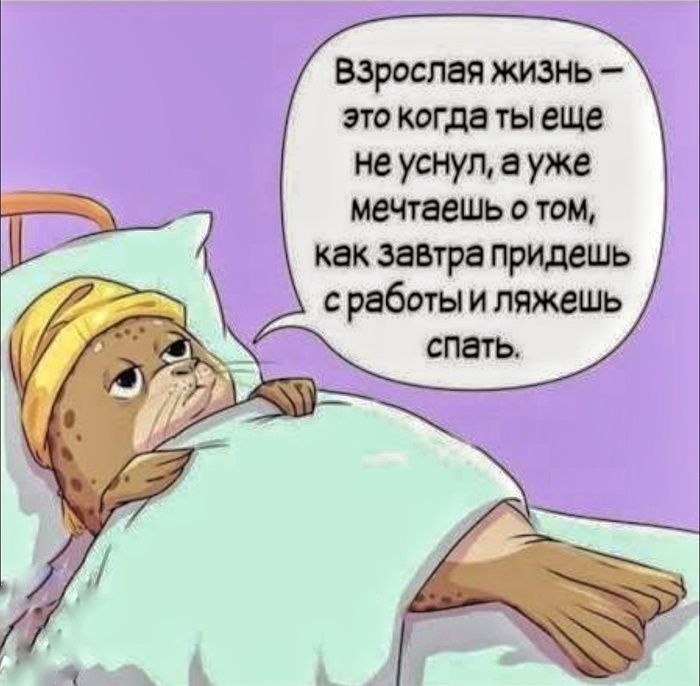 � ������ �� ������