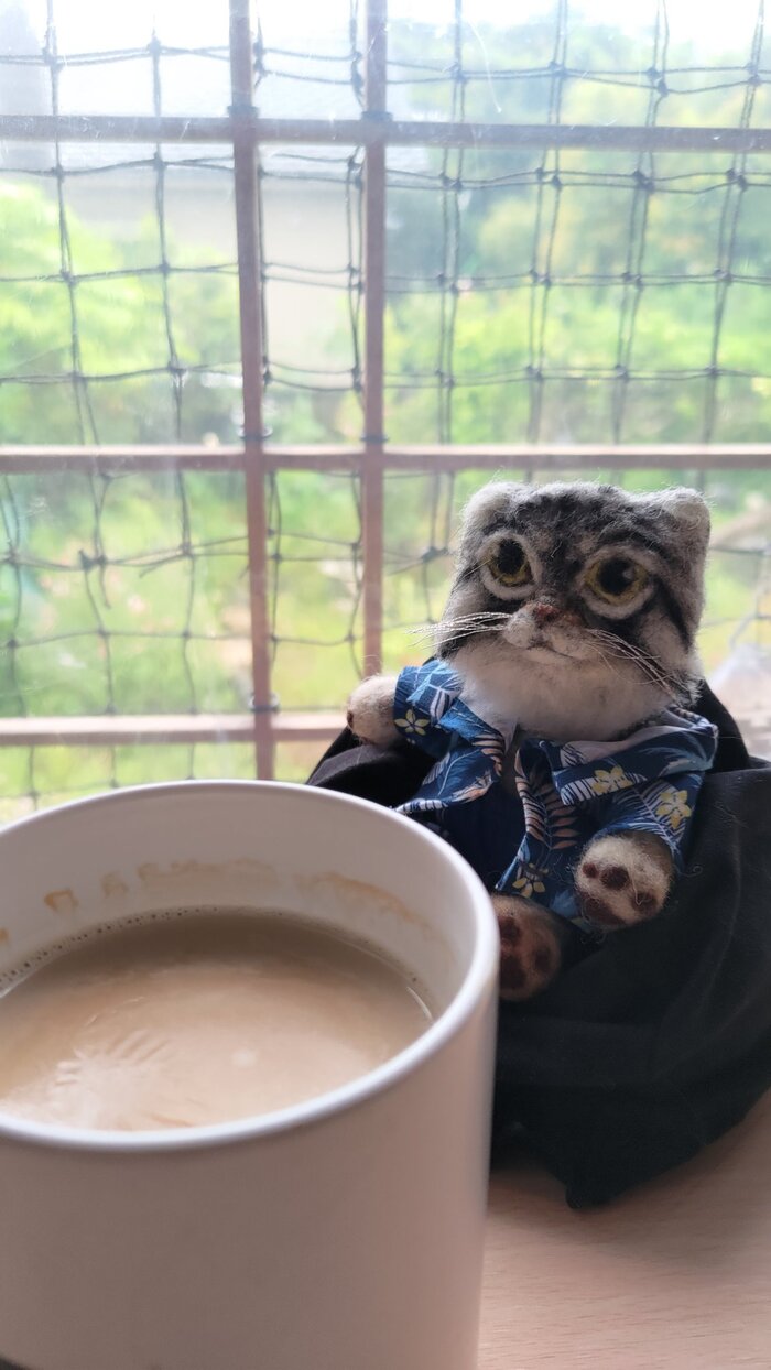 ���� ���������� �����!