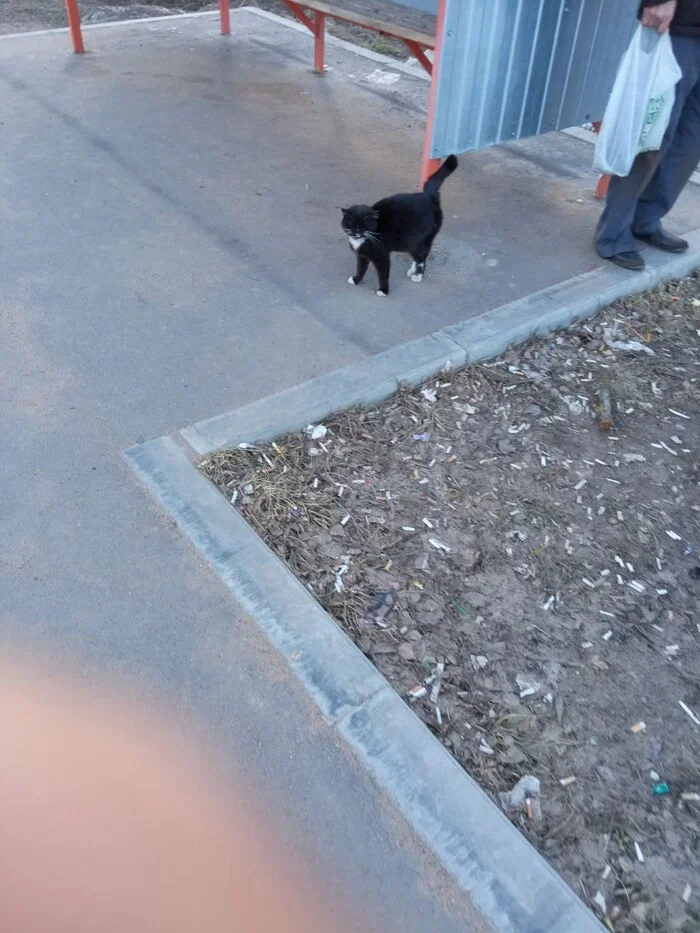 ������ �� ���� �� ������, ������� �������� �� ���������. ������ � ����� ������������ � �������)