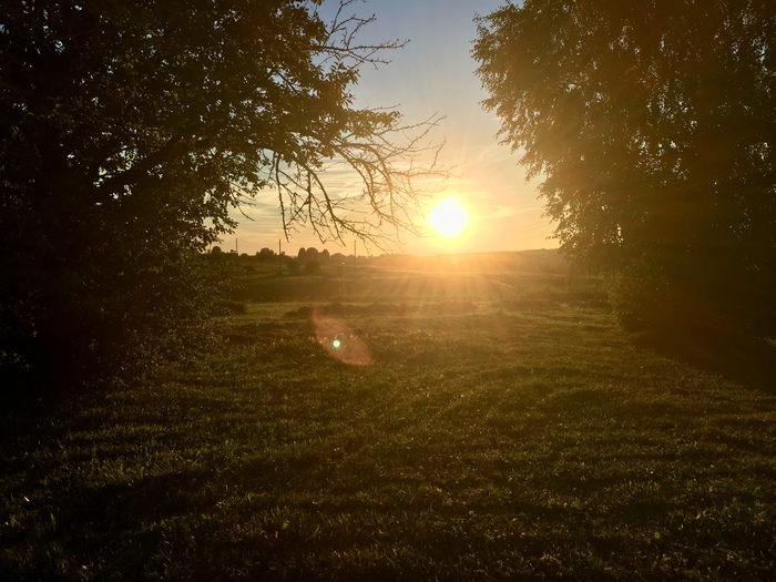 ��� ������ ���� 2025 �