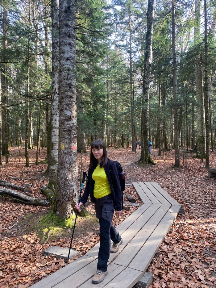 �������� ������ �������� - ��� ����� ��������� � �����������, ����� ��������� ��������, �� ���� �� ����������. ����� ���� ��������� ������� � ����������� � ����� ���������.