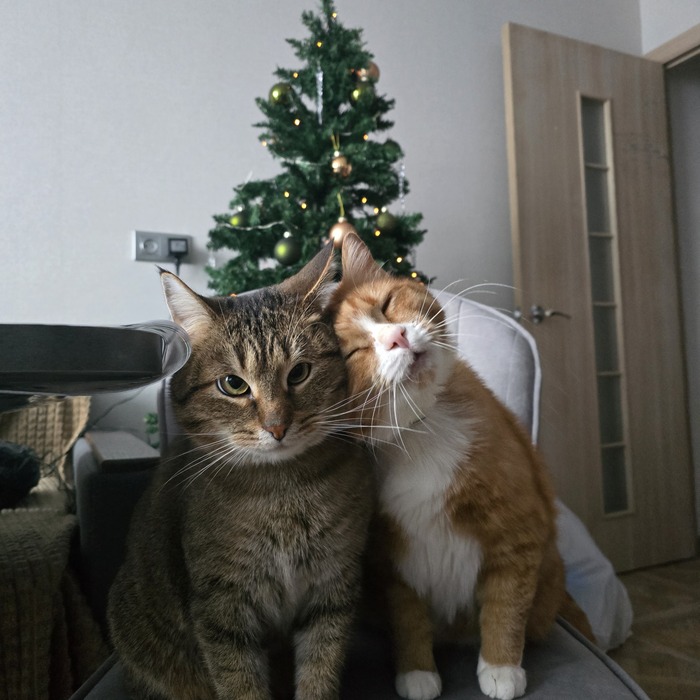 ��� ������ ���������� ����!