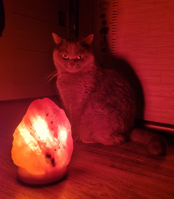 ������ ���������� ����