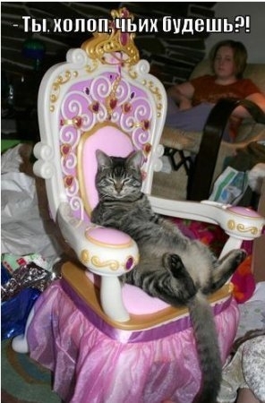 ��� ��� ��������� ��� ������������)