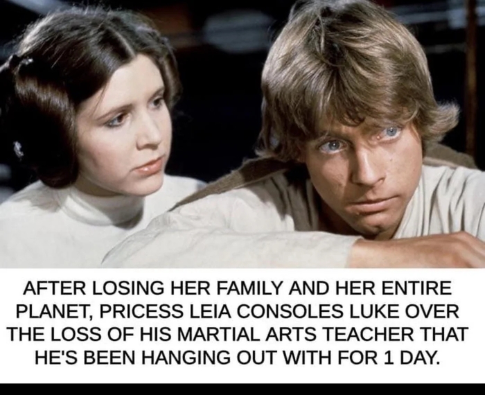 ���� �����