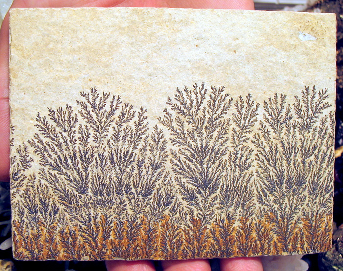 �������� ������������ ������ � �������� �� ����������� ���� ���������. ���� ������, �������� "��� �����"