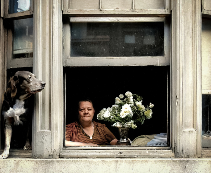 ��������: ������� ���������