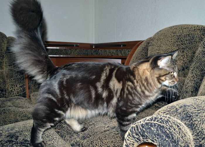 ������ ���� �� �������...