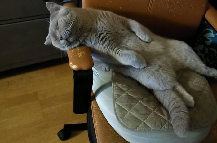 �� ��������