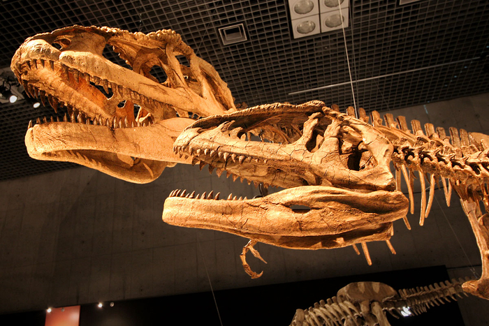 ��������. �����