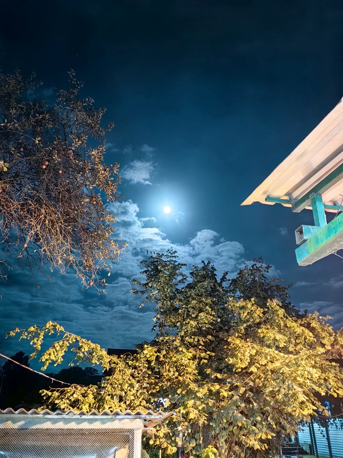 ������ ���� �� ����