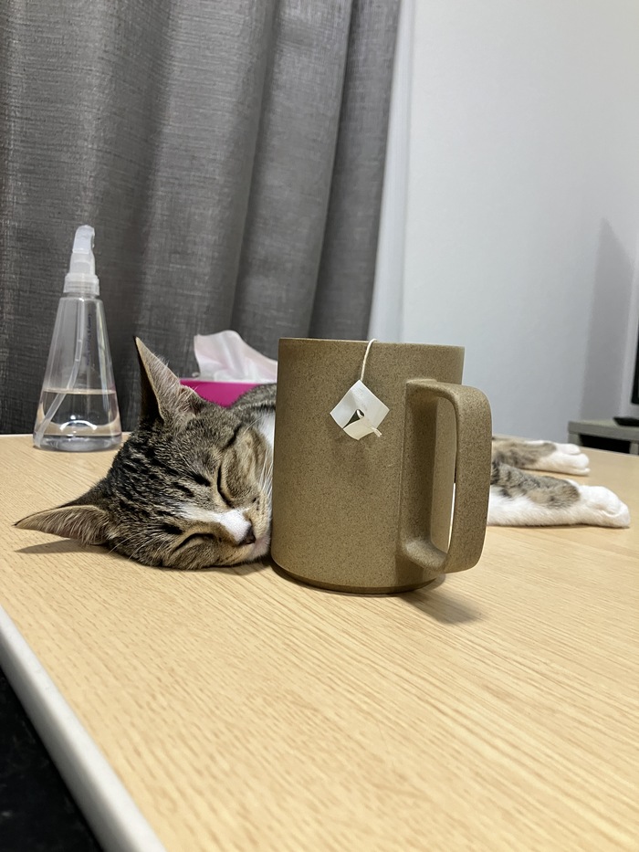 <!--noindex--><a href="https://pikabu.ru/story/sistema_sokhraneniya_teplotyi_13525030?u=https%3A%2F%2Fx.com%2Fi%2Fstatus%2F2002690335336808463&t=https%3A%2F%2Fx.com%2Fi%2Fstatus%2F2002690335336808463&h=a79faf426b659b3b08a19271cf7817008fcf5d60" title="https://x.com/i/status/2002690335336808463" target="_blank" rel="nofollow noopener">https://x.com/i/status/2002690335336808463</a><!--/noindex-->